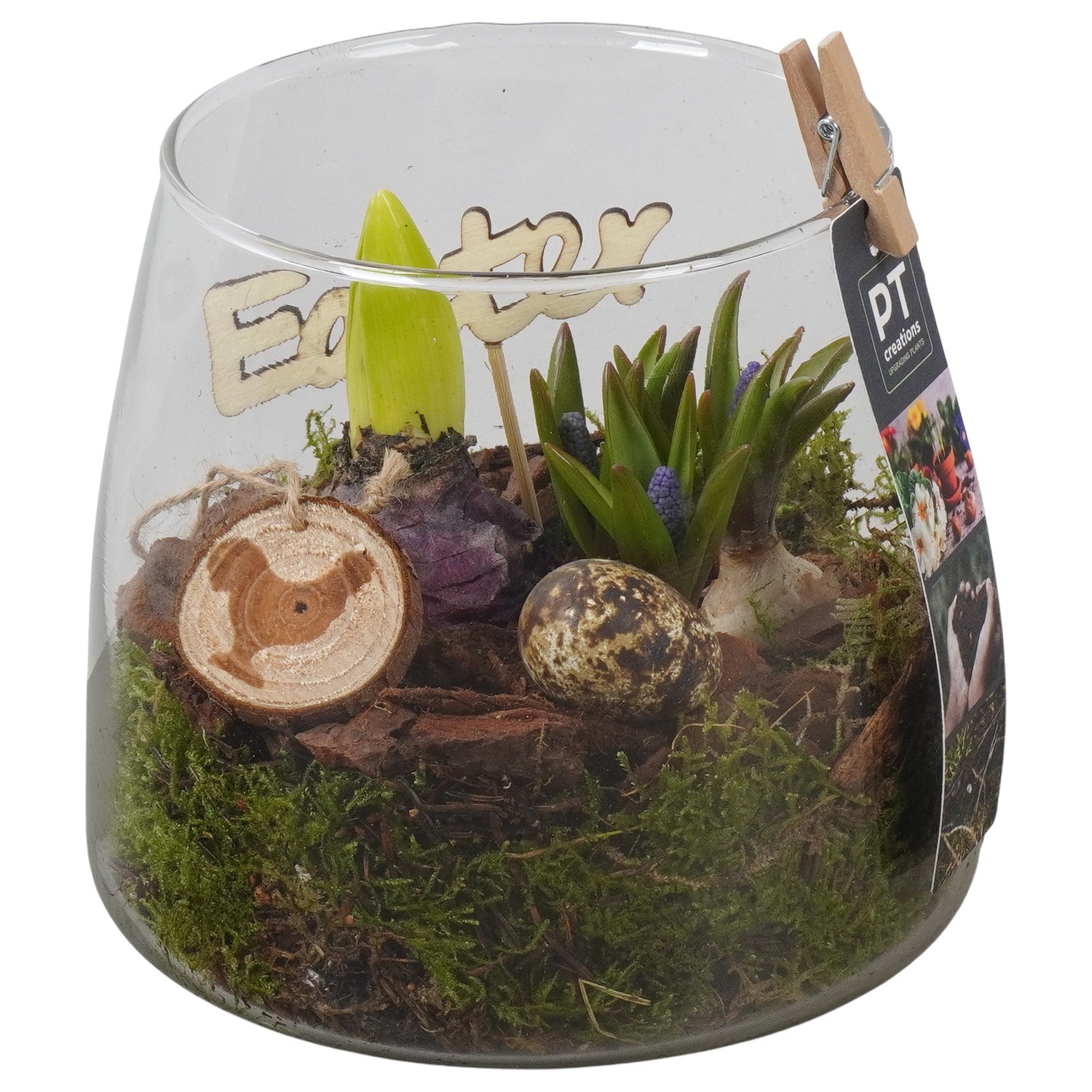 PTBMP5744 Arrangement Easter Bulbs Mix in glazen vaas, D 14