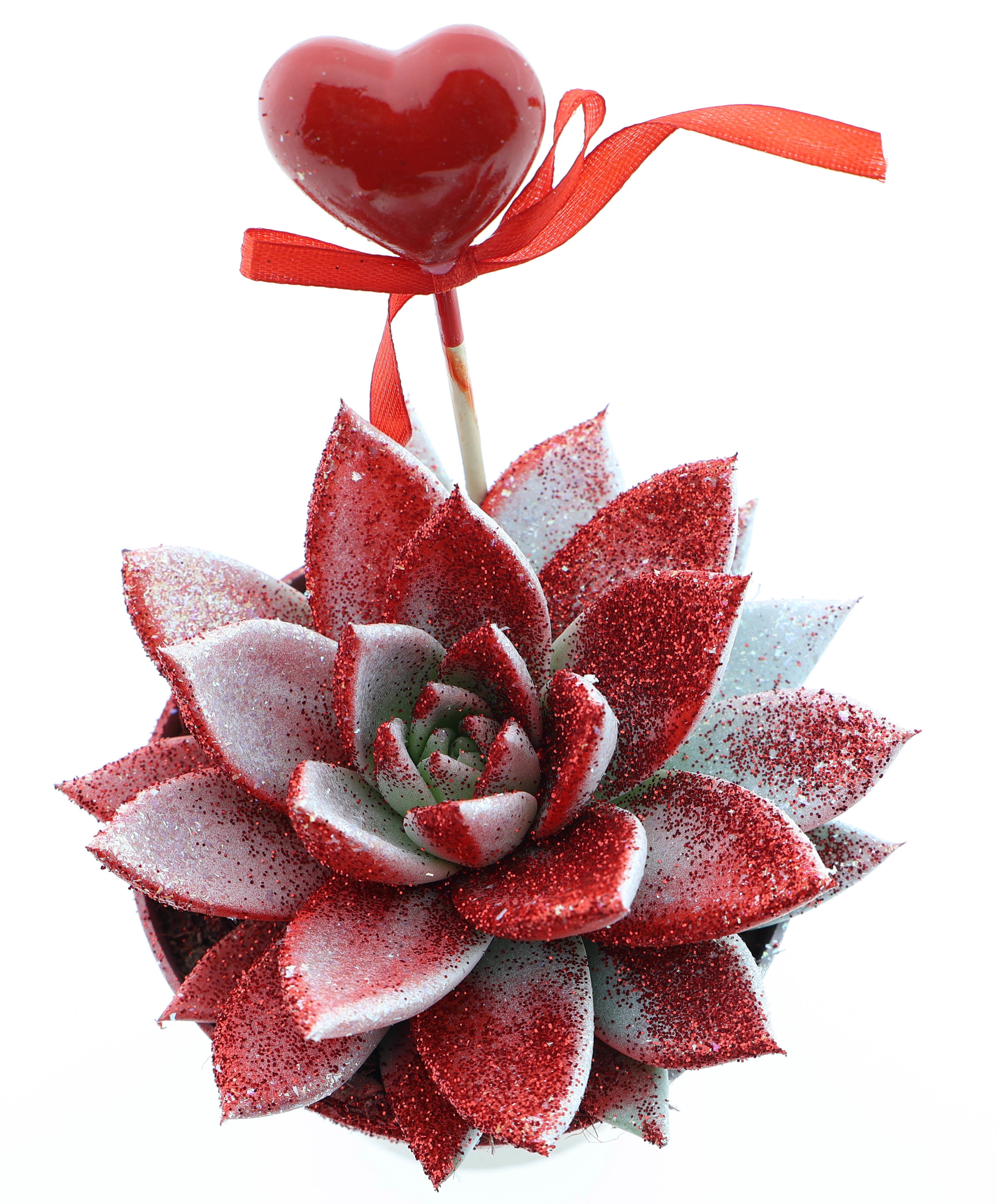 Miranda valentine rood/wit glitter + hartje, D 10,5