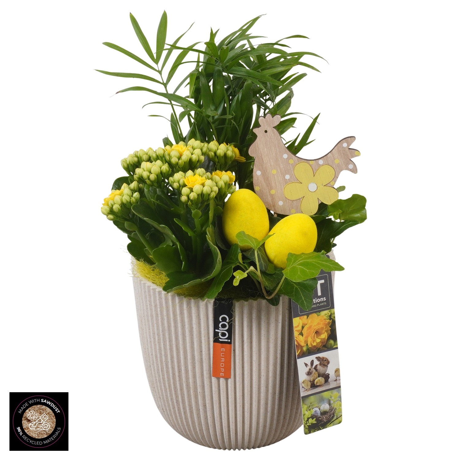 PTPB6587 Arrangement Easter in capi pot, D 13