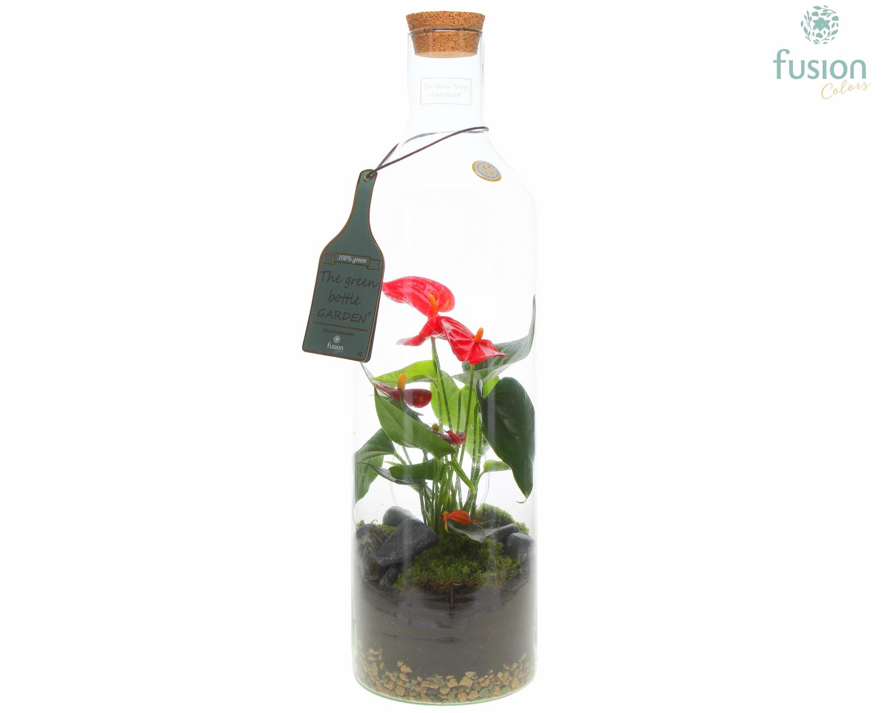 Green Bottle Fles Large met Anthurium, D 15