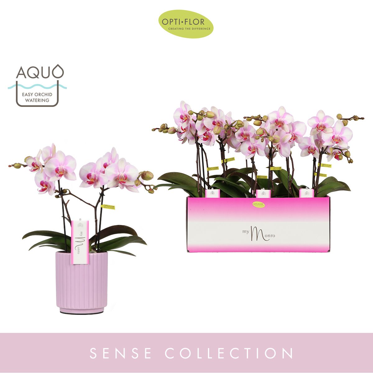 MyMonro Make-up 2 spike in Molise Lilac Aquo, D 12 cm