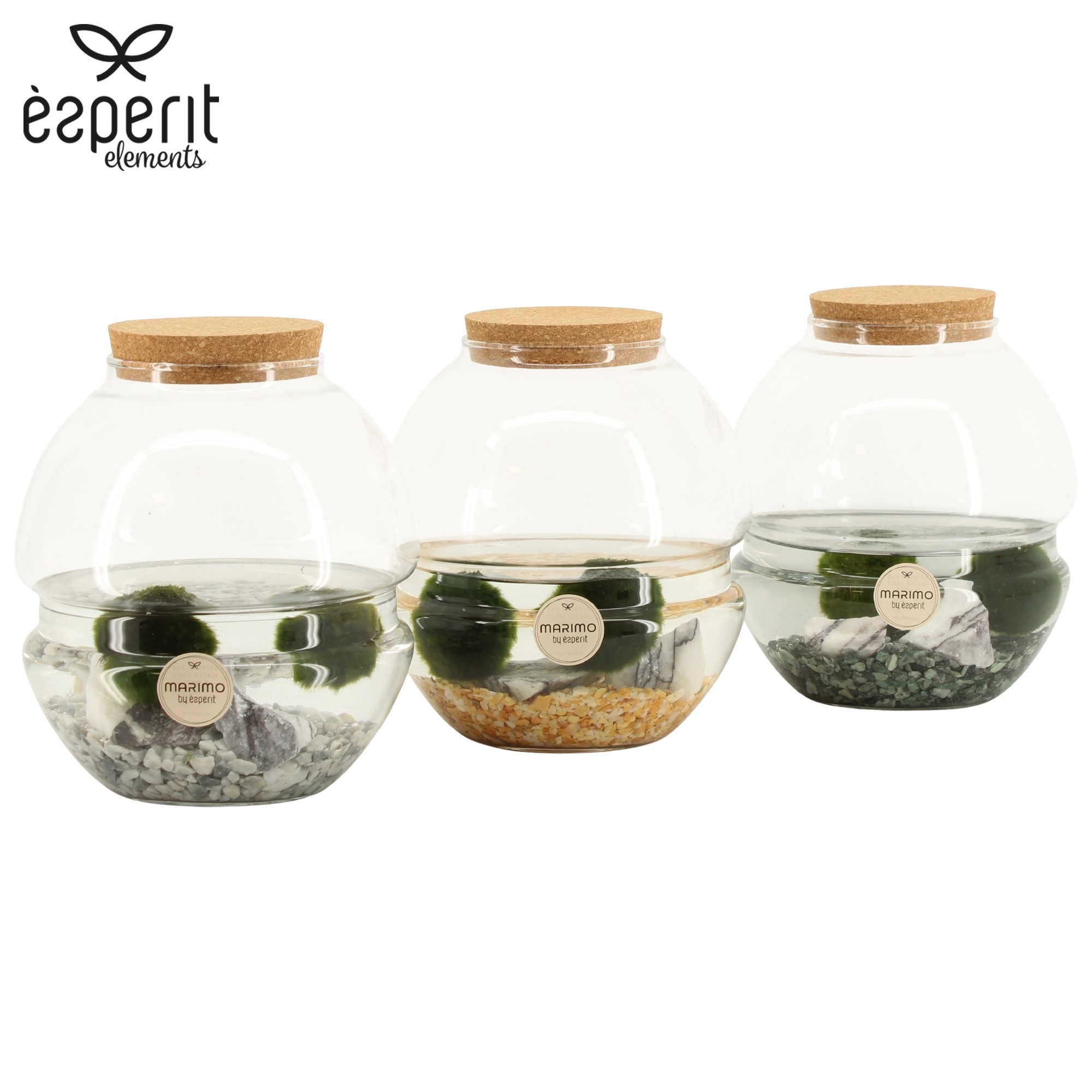 90848: Marimo arrangement, D 17