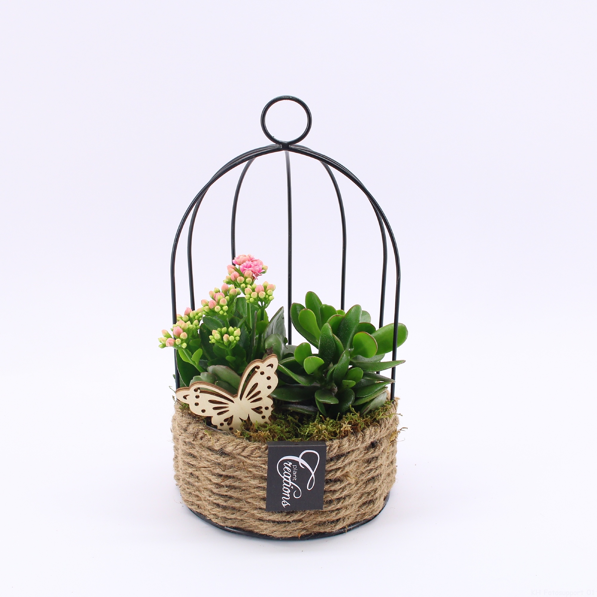 ESCR-2615RZ Essentials, D 16