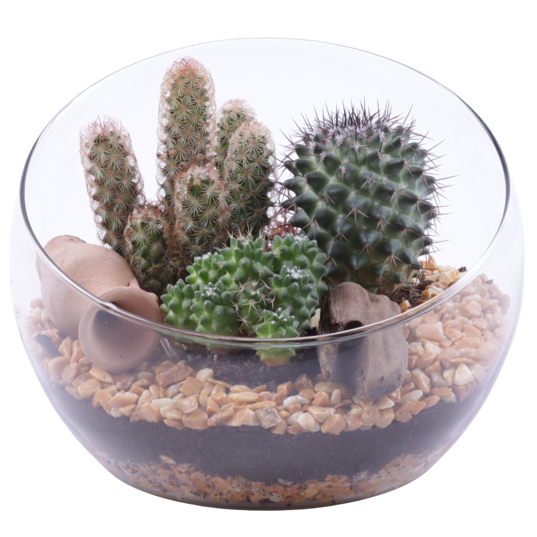 Yearround Arr. Cactus Glass Bowl Vase Ø20cm 3PP, D 20