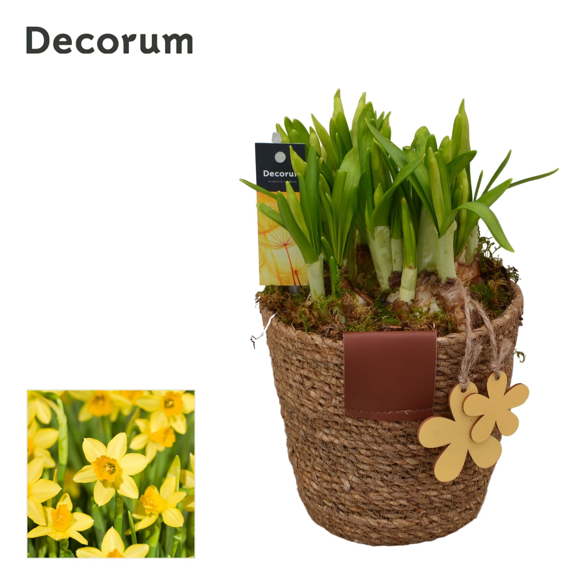 Narcis Basket & Leather Label HL12983N, D 13