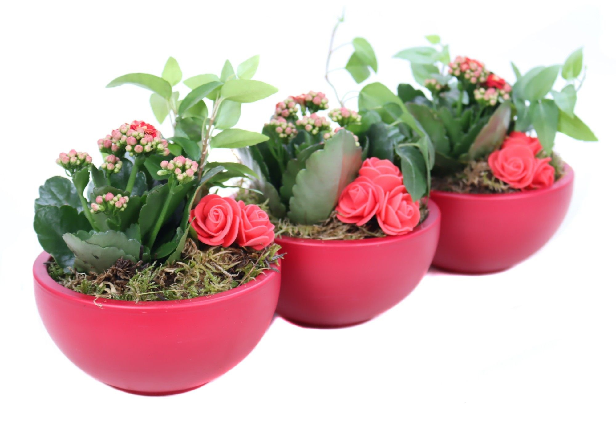 Opgemaakte valentijn schaal met hedera, mos, kalanchoe en bijste, D 15