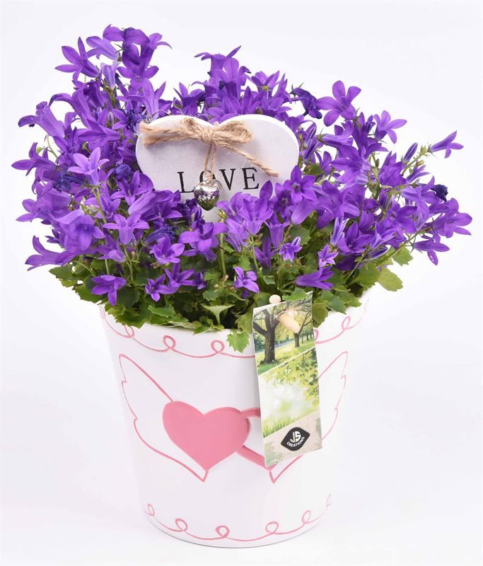 Keramiek ovaal met hartje 19.5x11CM, D 11