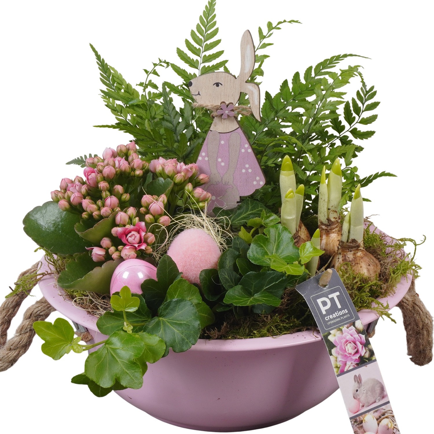 PTPB6412 Arrangement Easter in zink schaal, D 24