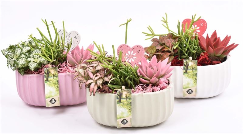 Keramiek ovaal mix kleur 18,5x12cm, D 19