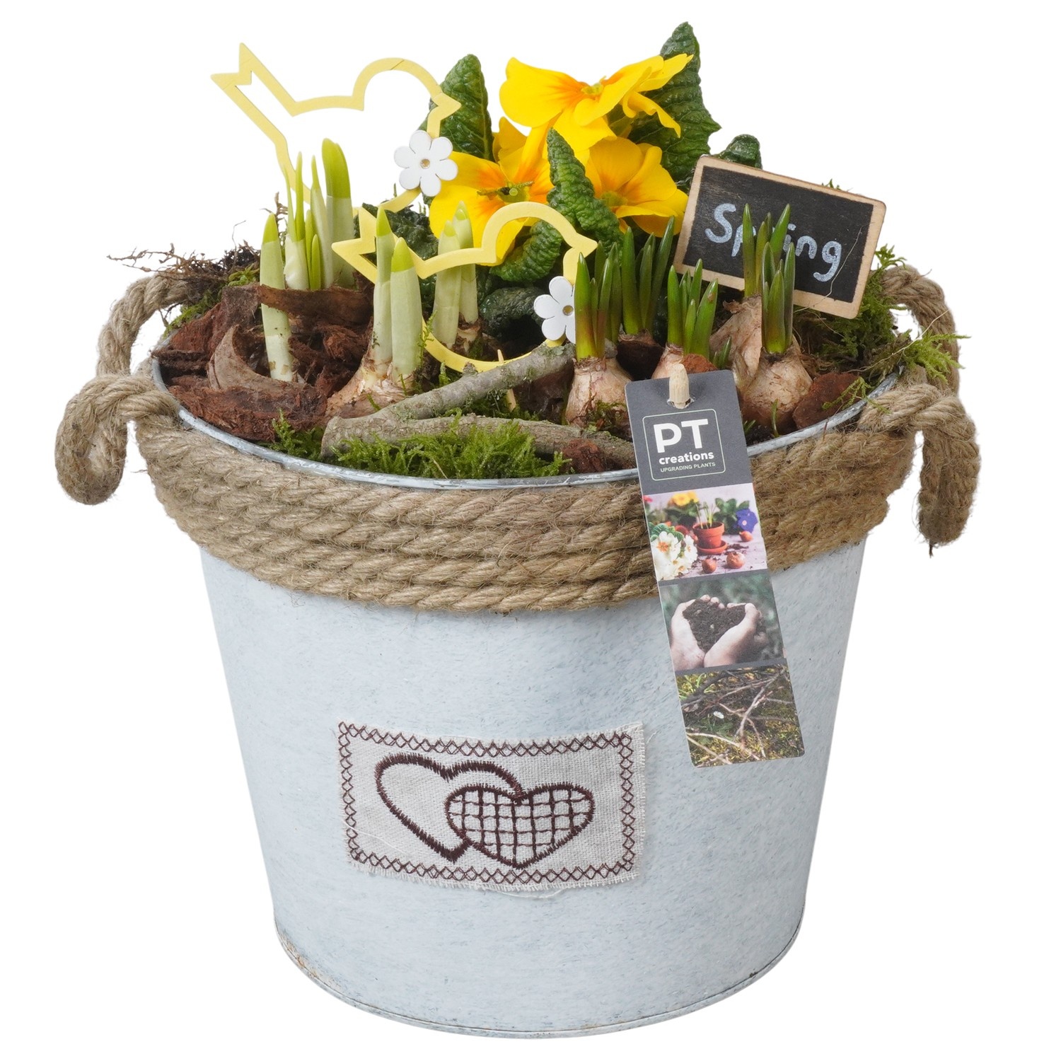 PTBM3798 Arrangement Flower Bulbs Mix in metalen pot, D 22