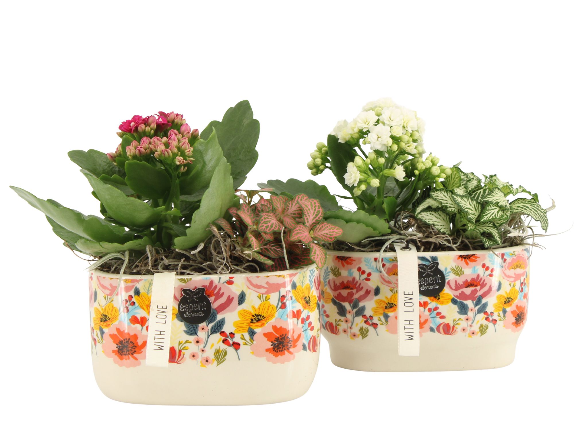 21819: Lovess arrangement, D 14