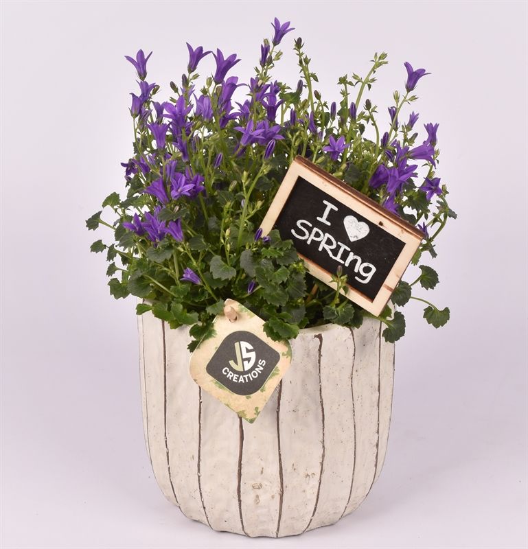 Cement pot ribbel ww16cm, D 13