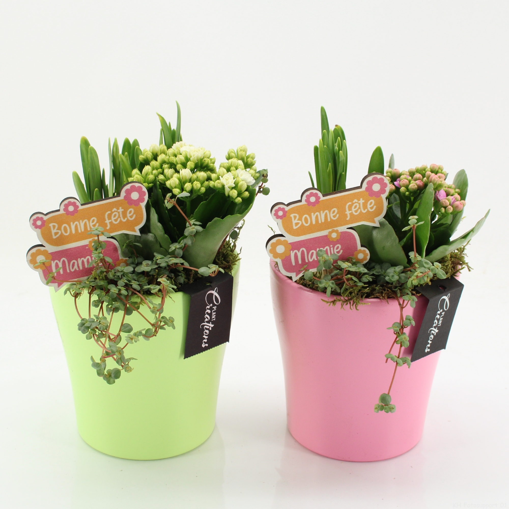 FGCR-2606M Fête des grands-mères, D 14