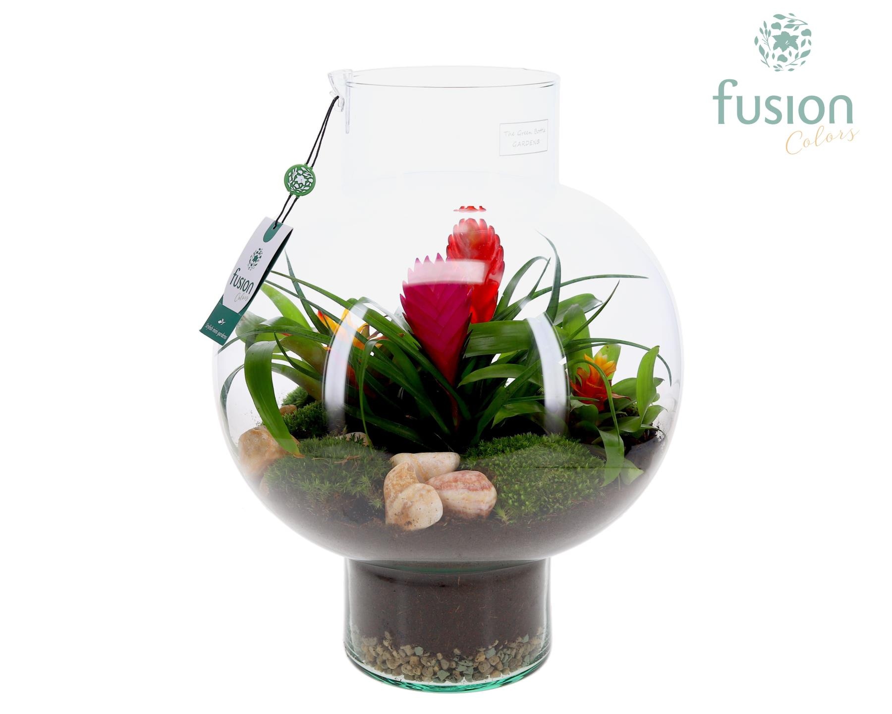 Green Bottle Laura Large met Bromelia arrangement, D 31