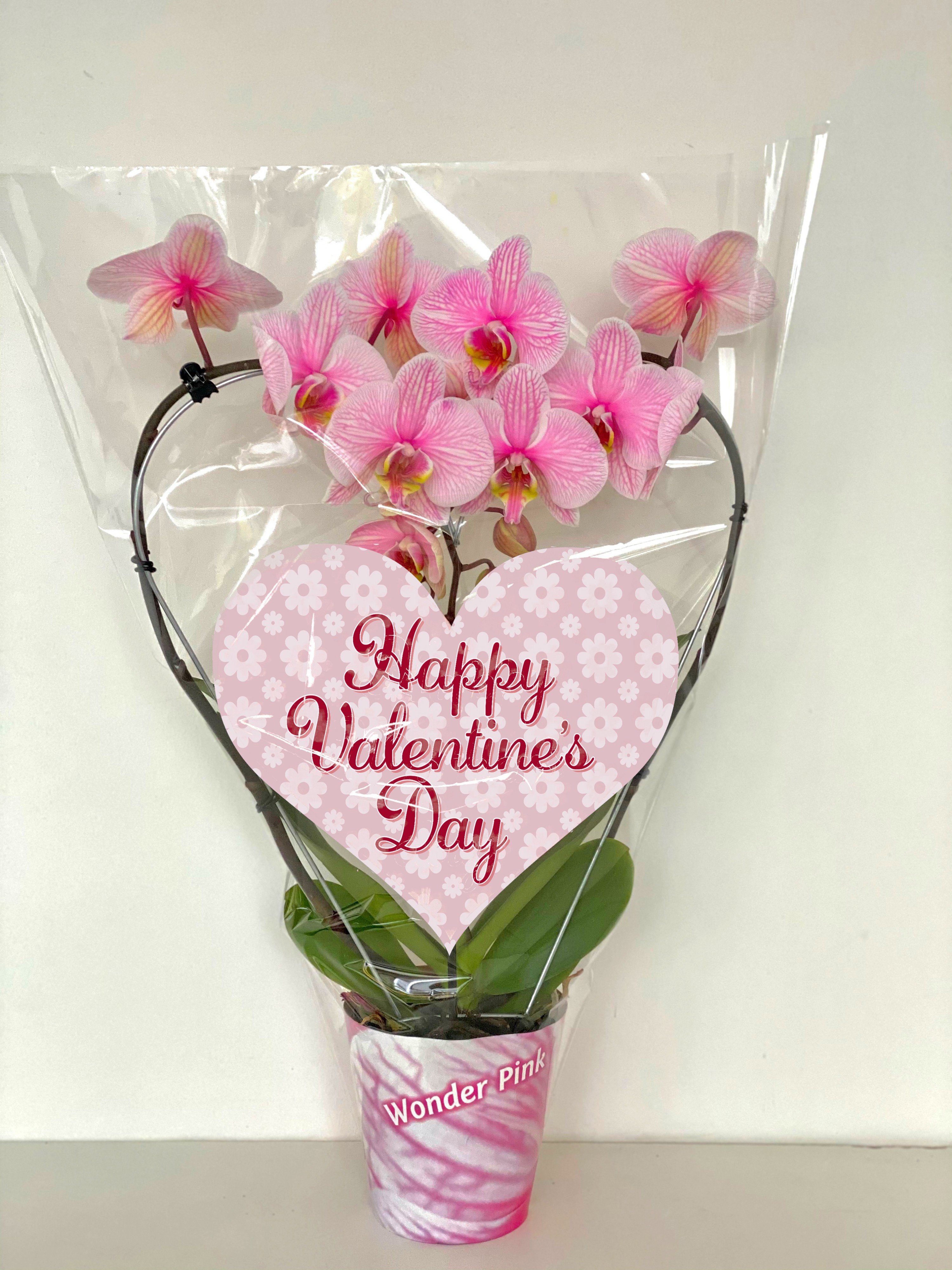 hart 12cm roze valentijn, D 12