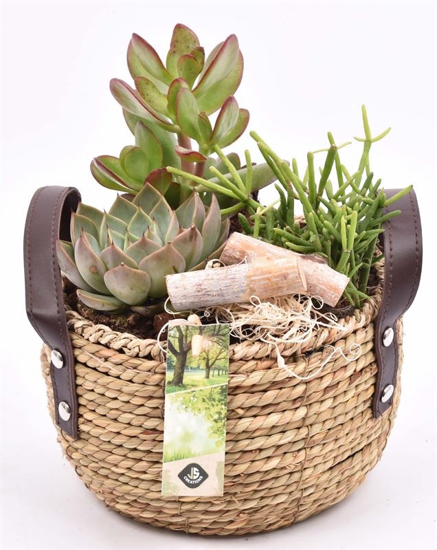 Touwmand met leer handv.18-20cm, D 20