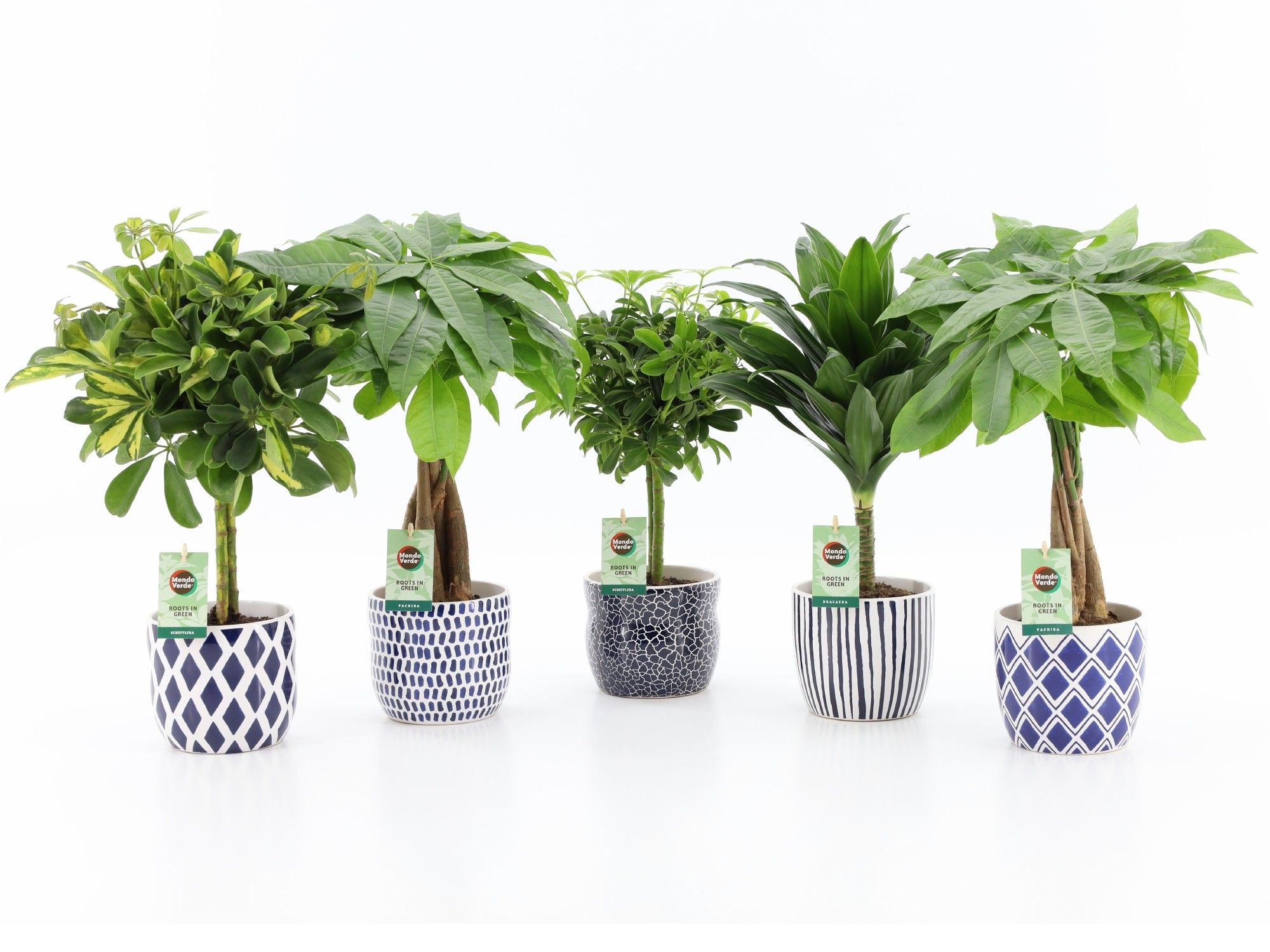 Stammenmix in Delft Blue keramiek, D 13