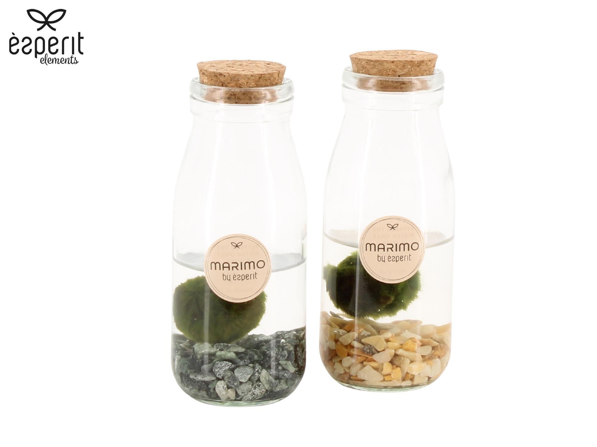 90545: Marimo arrangement, D 6