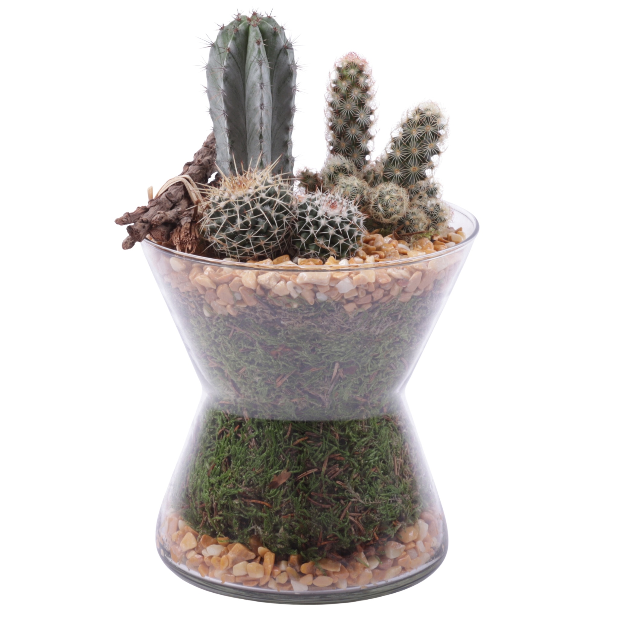Yearround Arr. Cactus Glass Hourglass Ø16cm 3PP, D 16