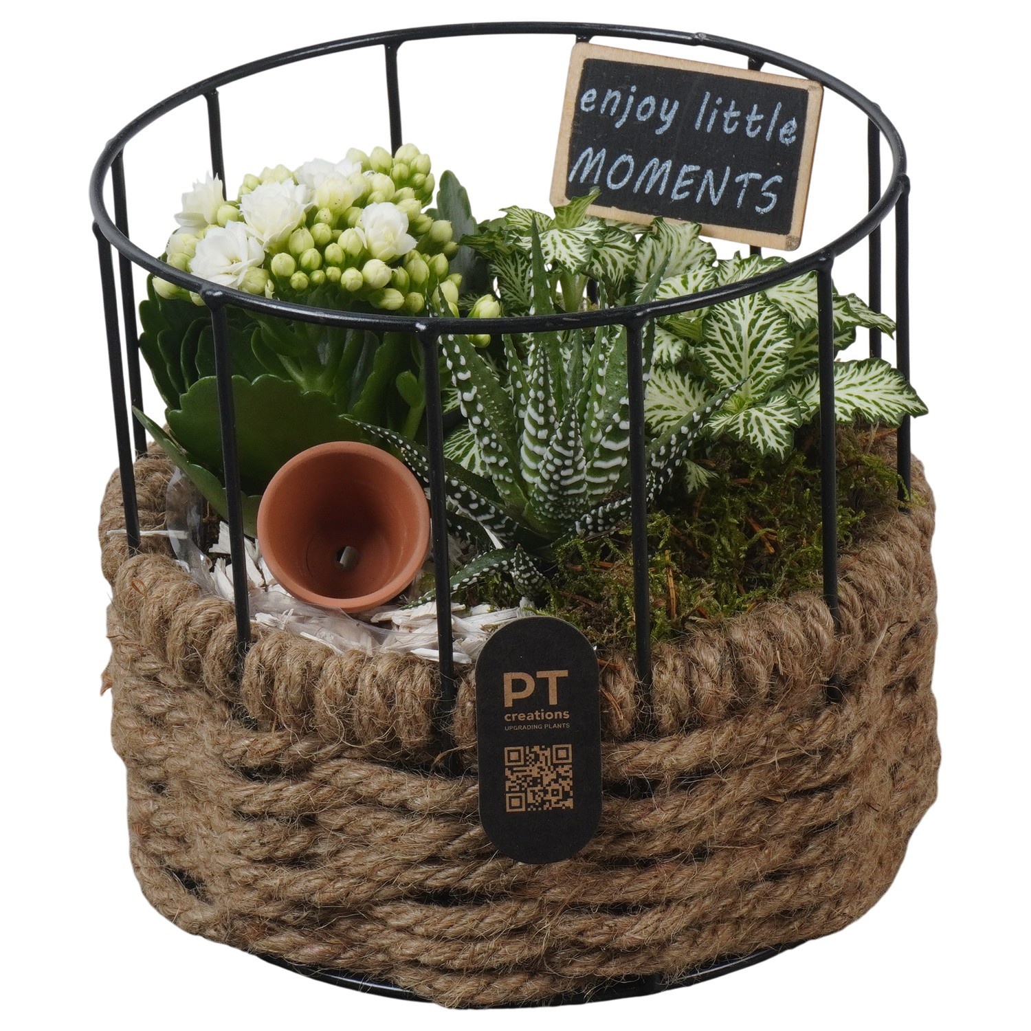 PTIB5274 Arrangement Indoor in touwmand met metaal, D 17