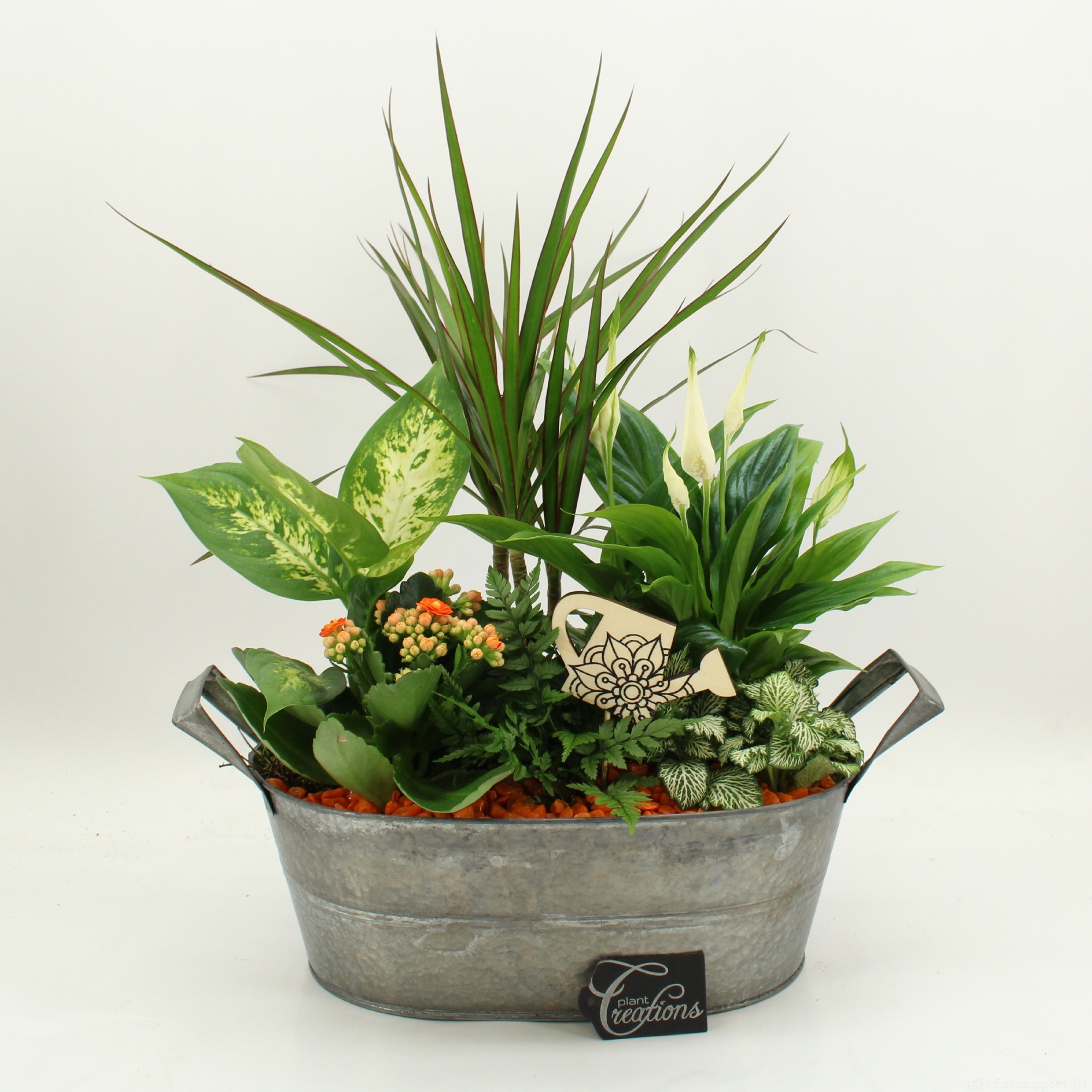 FDCR-2616OR Basic Fundamentals, D 32