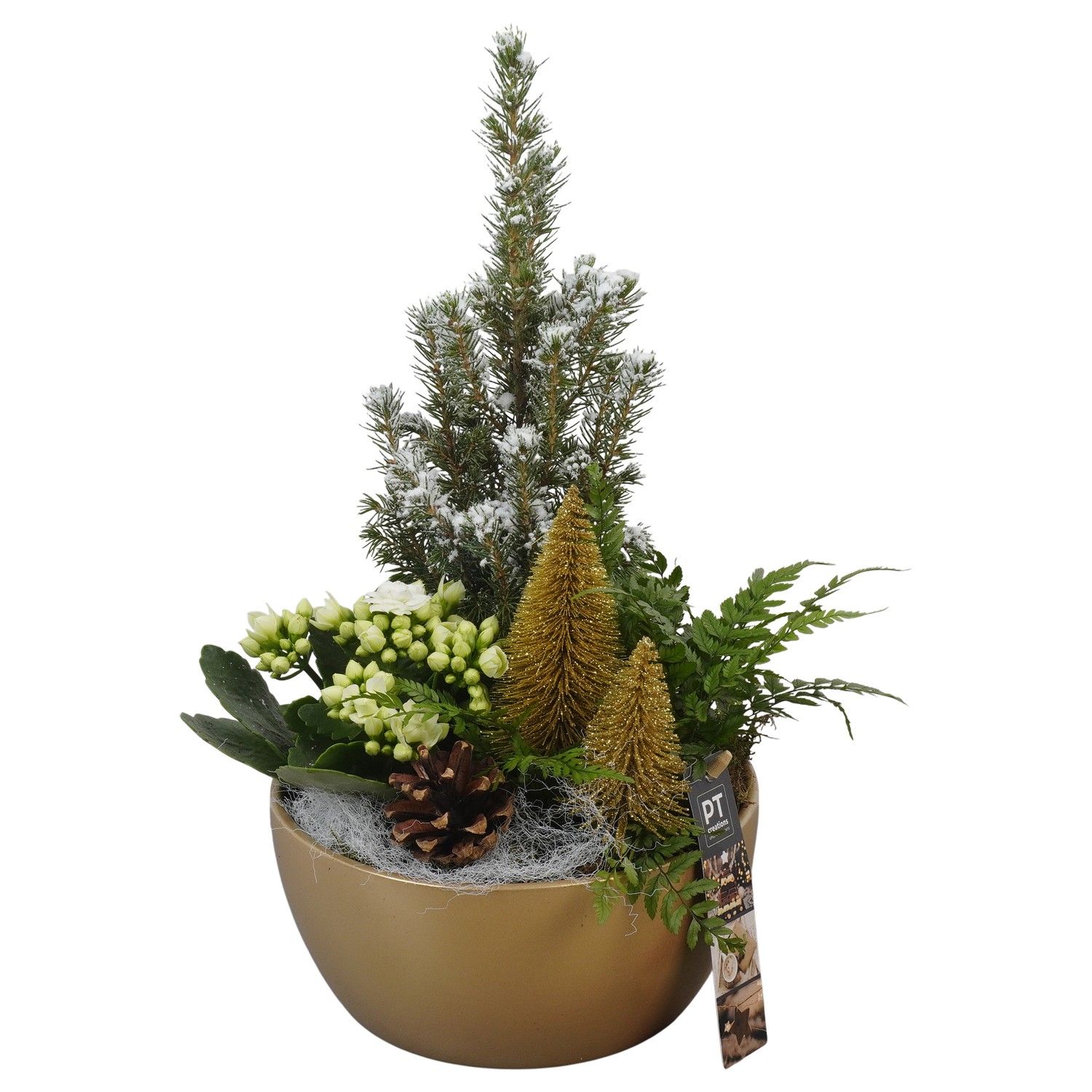 PTCHG5609 Arrangement Christmas Gold in keramiek schaal, D 18 cm