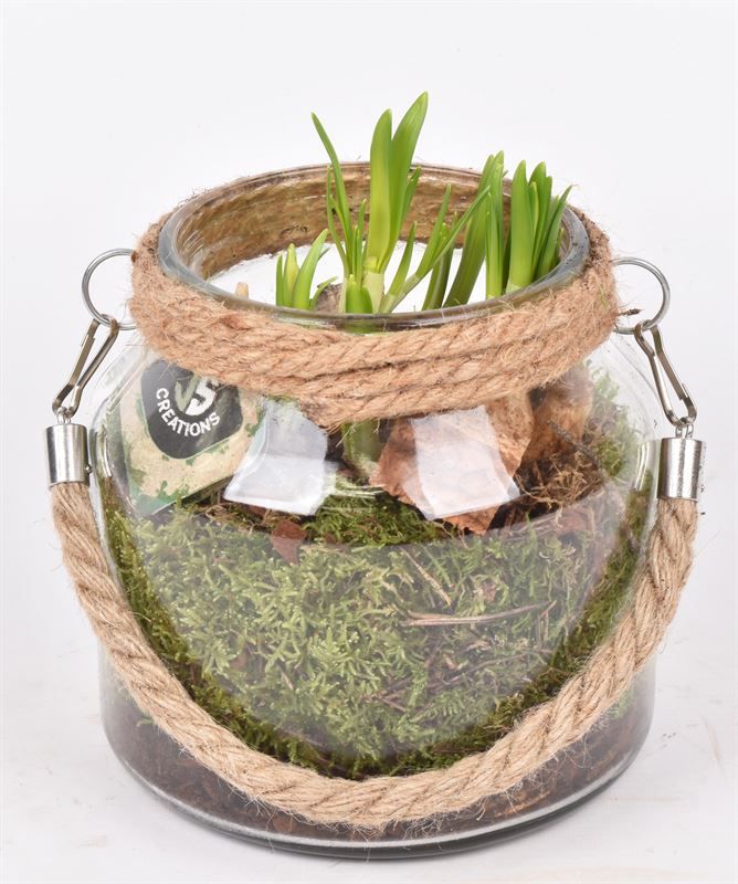 Glas vaas met touw 16cm, D 16