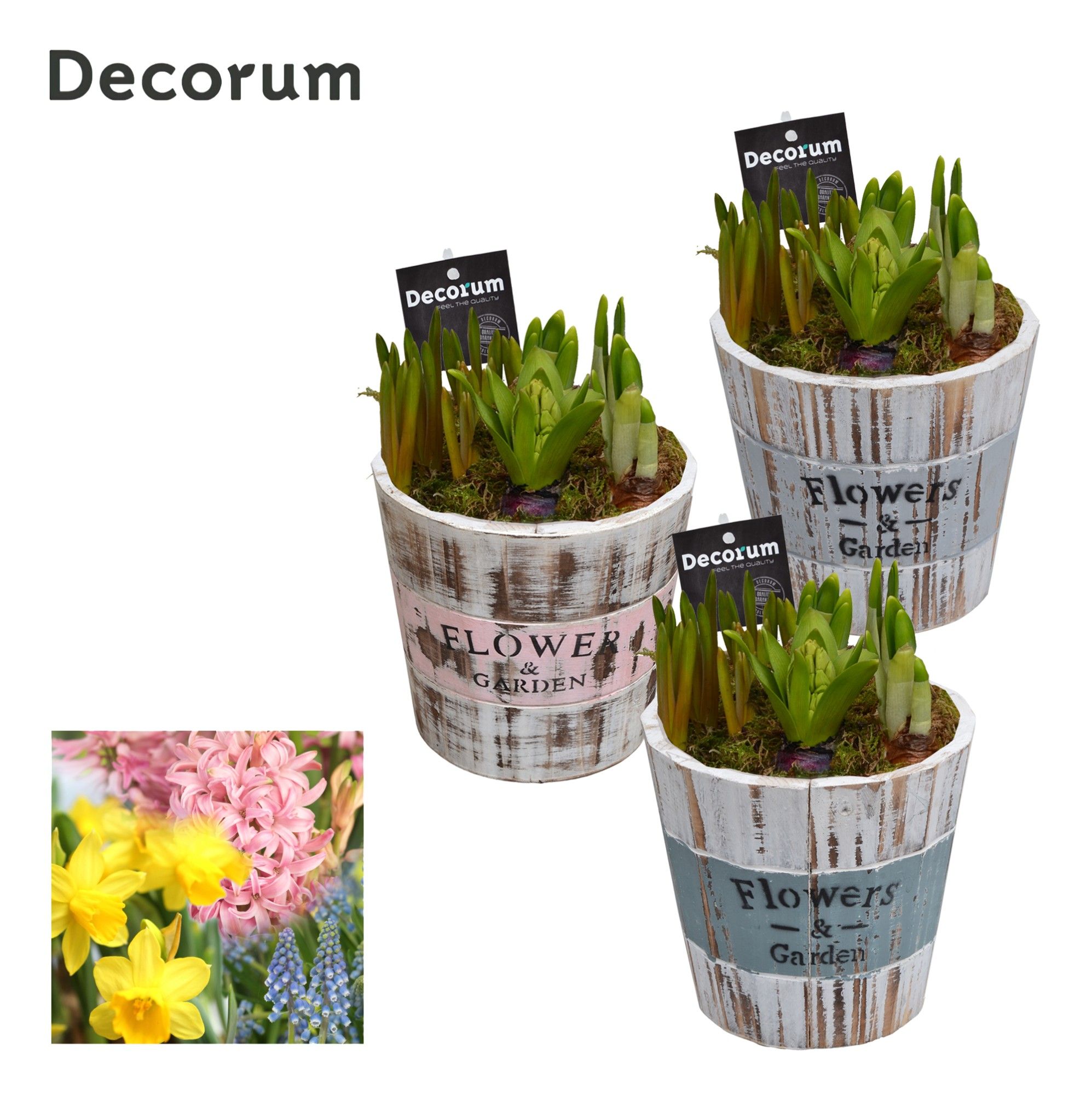 Bollenmix Big Wooden Bucket HL11713B, D 18