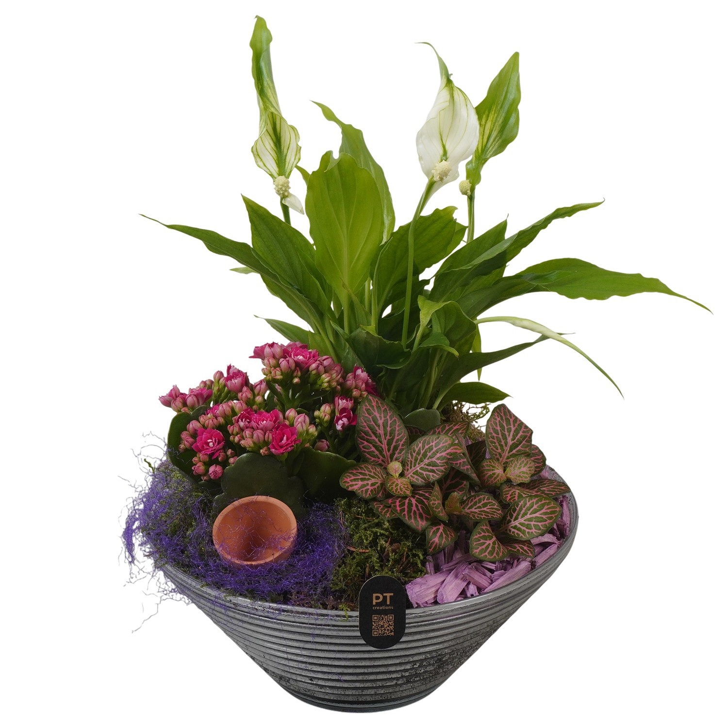 PTIG2660 Arrangement Indoor in glas schaal, D 19