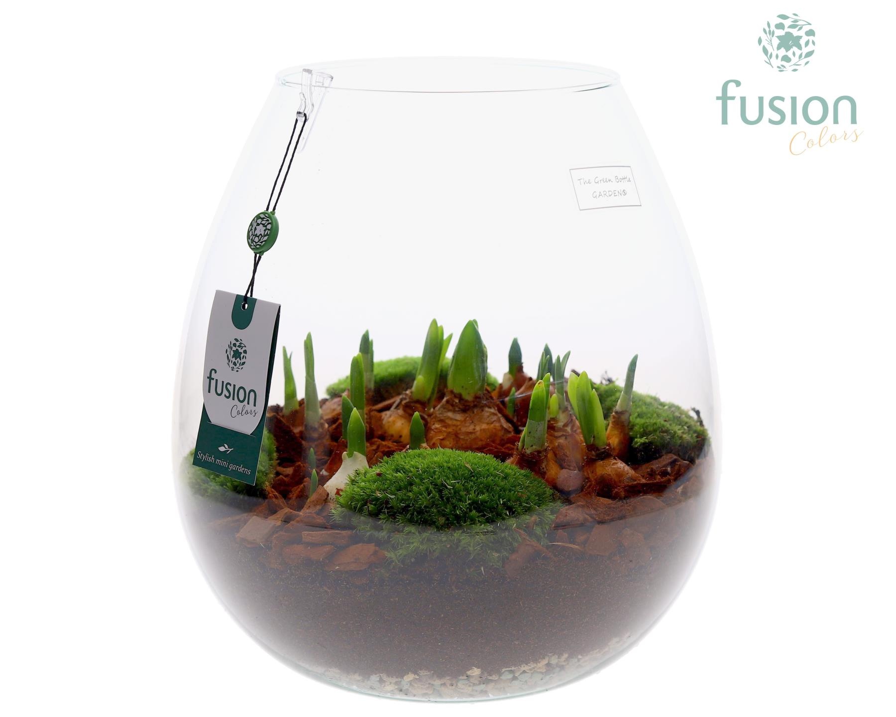 Green Bottle Abby XLarge met Bollen mix, D 29