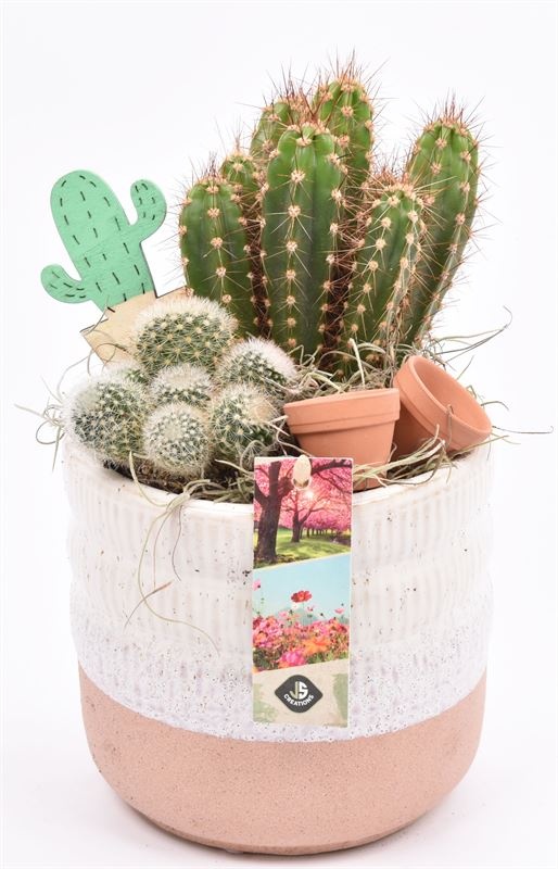 Keramiek pot wit/roze 14cm, D 14