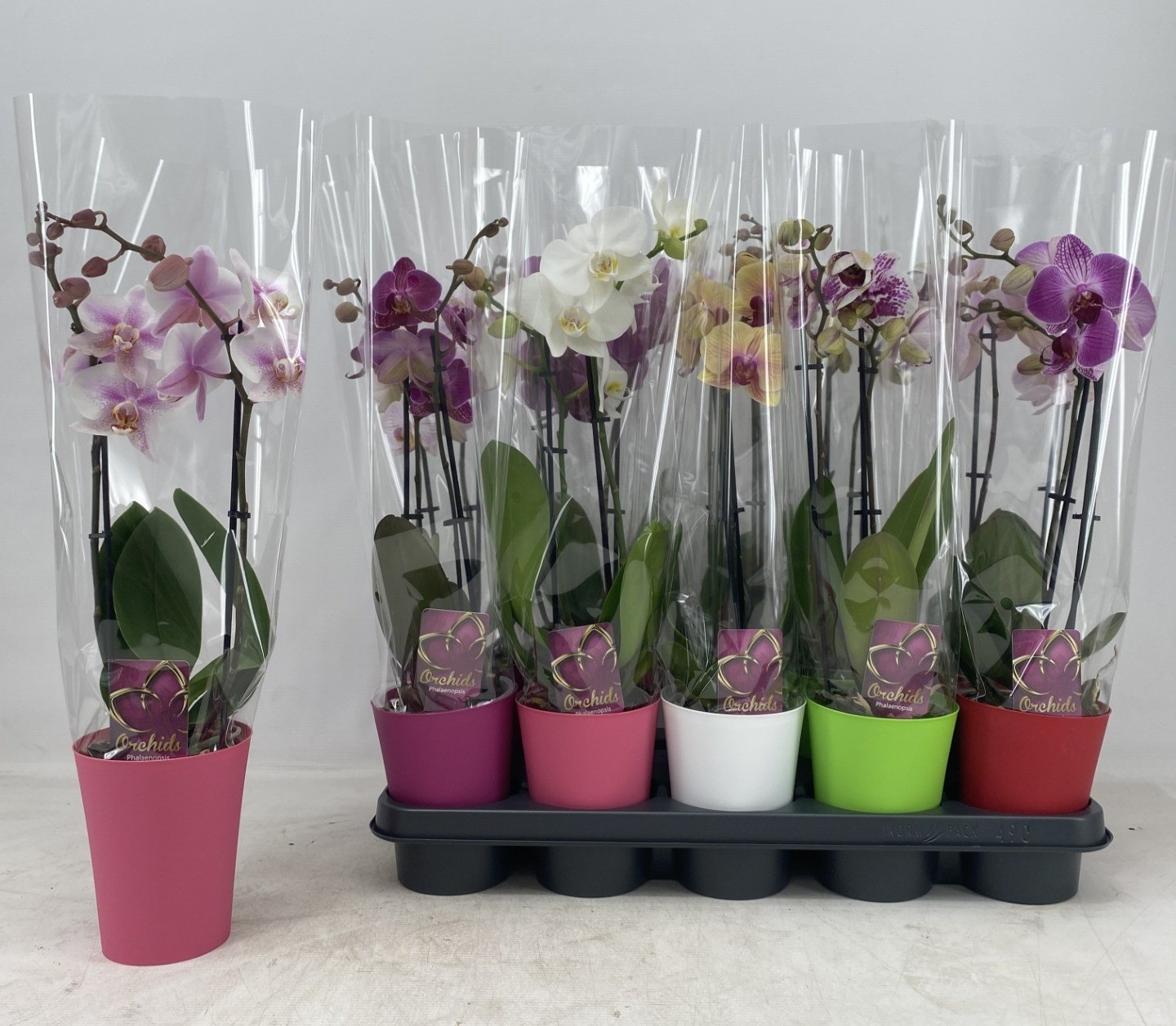 PHAL 2T MIX 10+ 40-55 KUNSTSTOF OMPOT, D 12