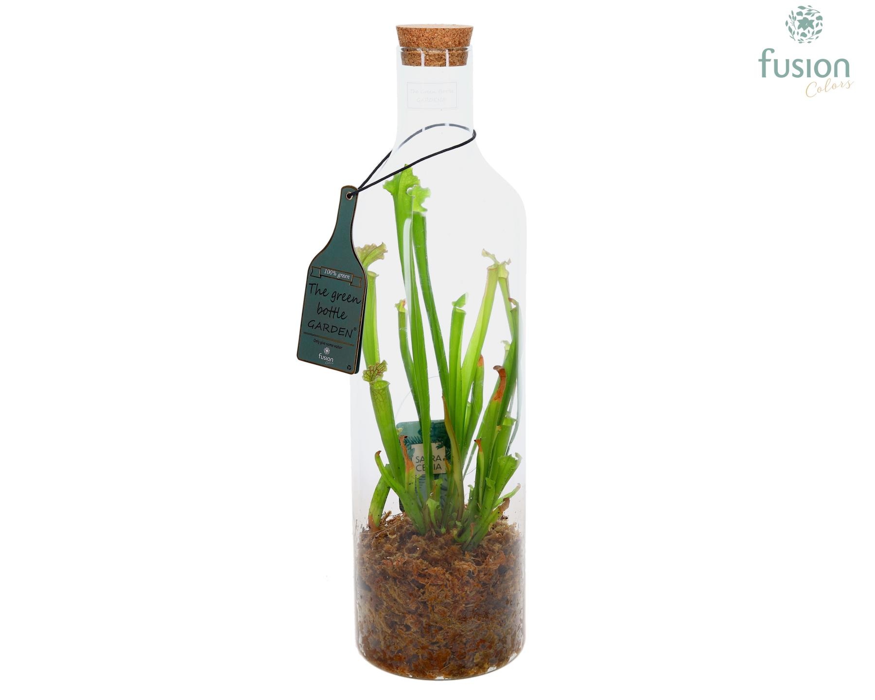 Green Bottle Fles Large met Vleeseters, D 15