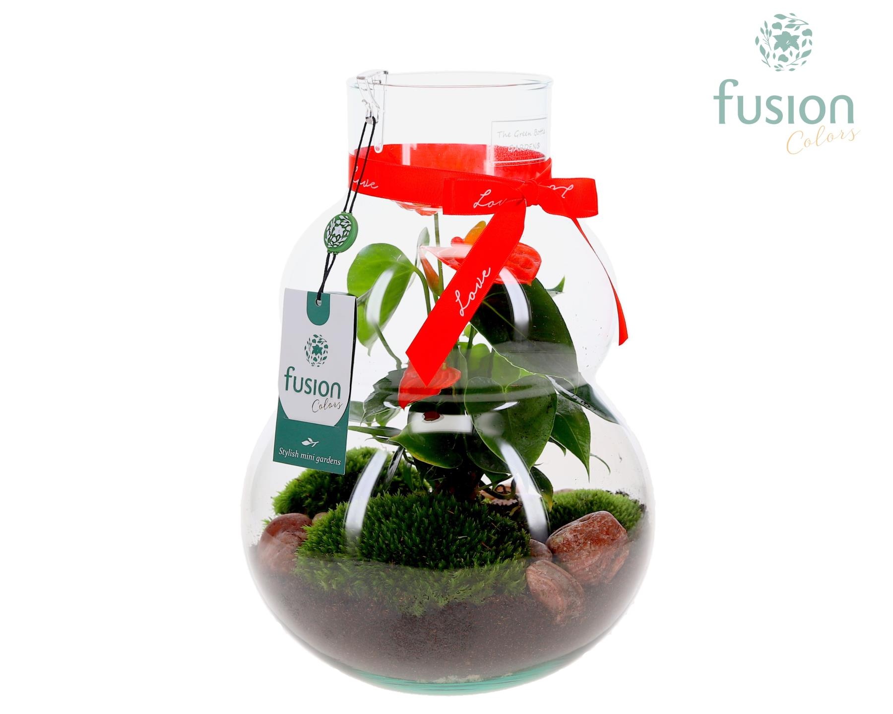 Green Bottle Olaf Medium met Love arrangement, D 21