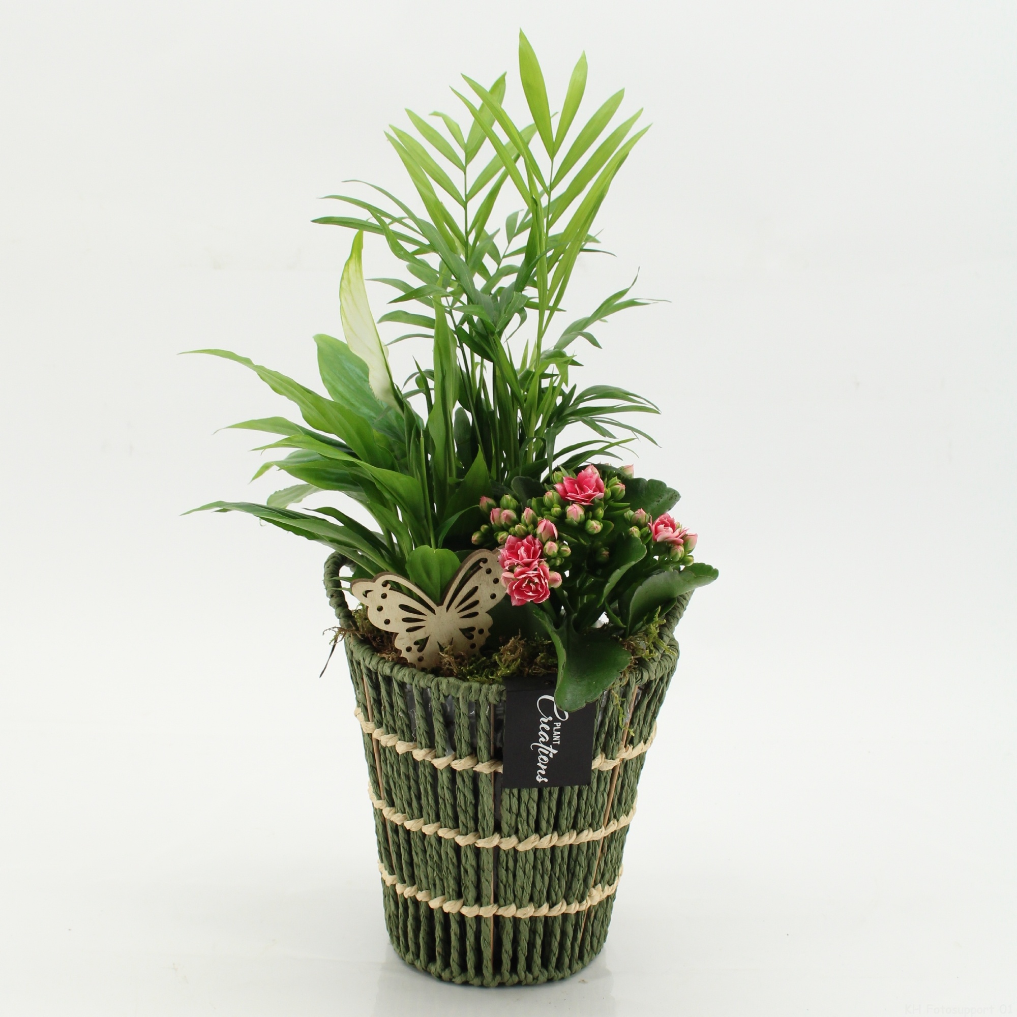 ESCR-2617RZ Essentials, D 16