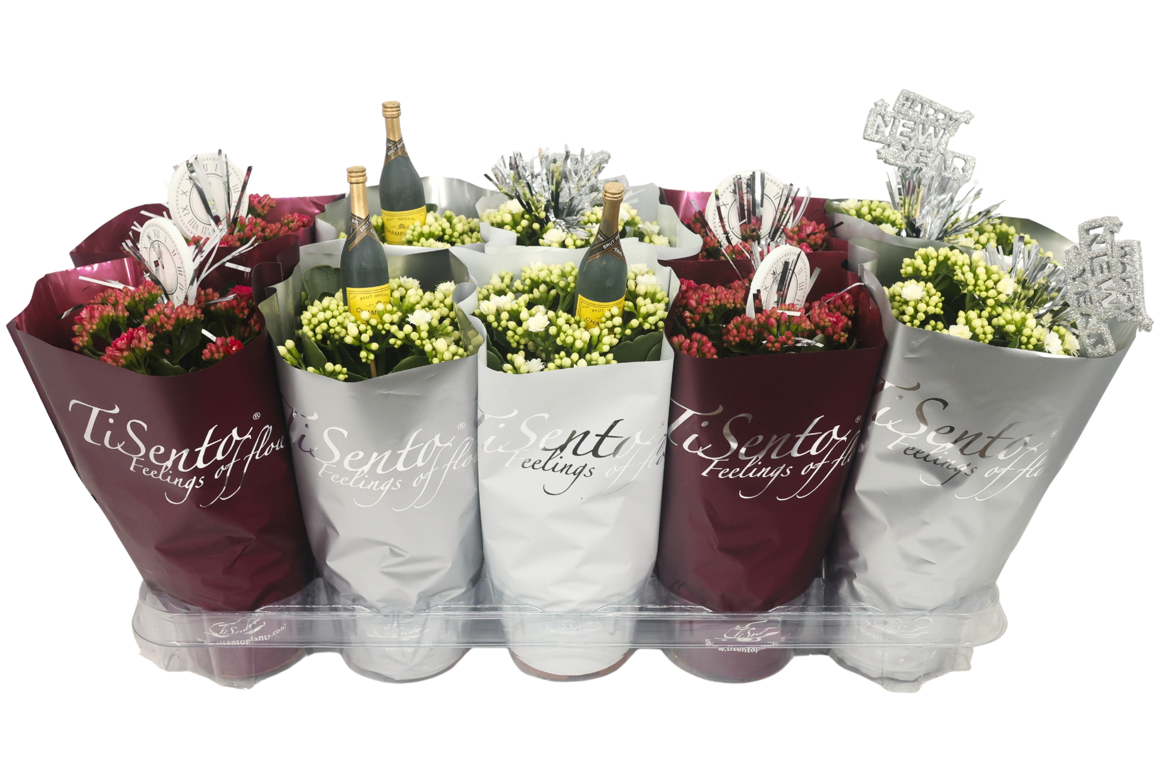 Calandiva 12 cmNew year's mix+ steker donker rood,wit,zilver, D 12