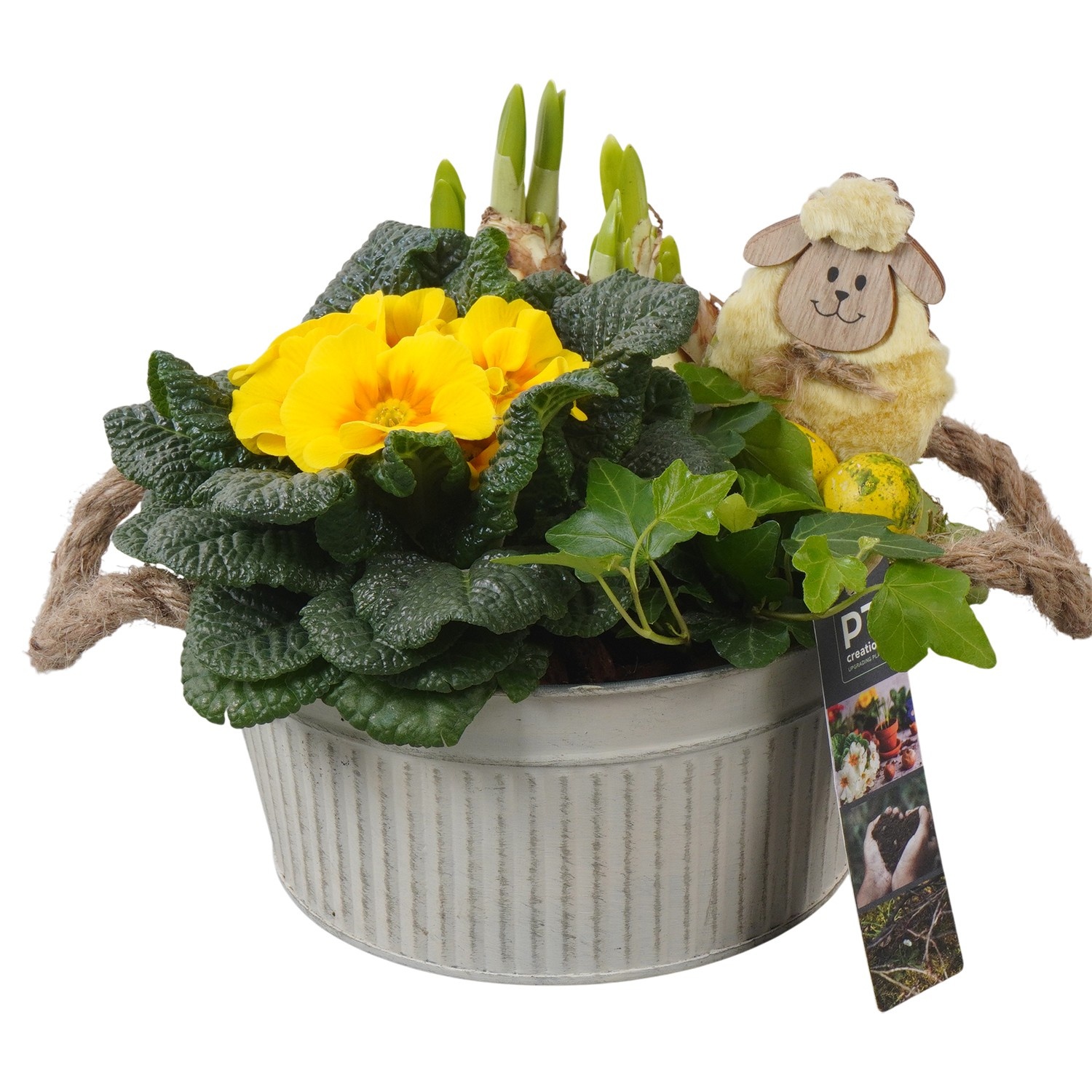 PTBMP5666 Arrangement Easter Bulbs Mix in zink pot, D 19