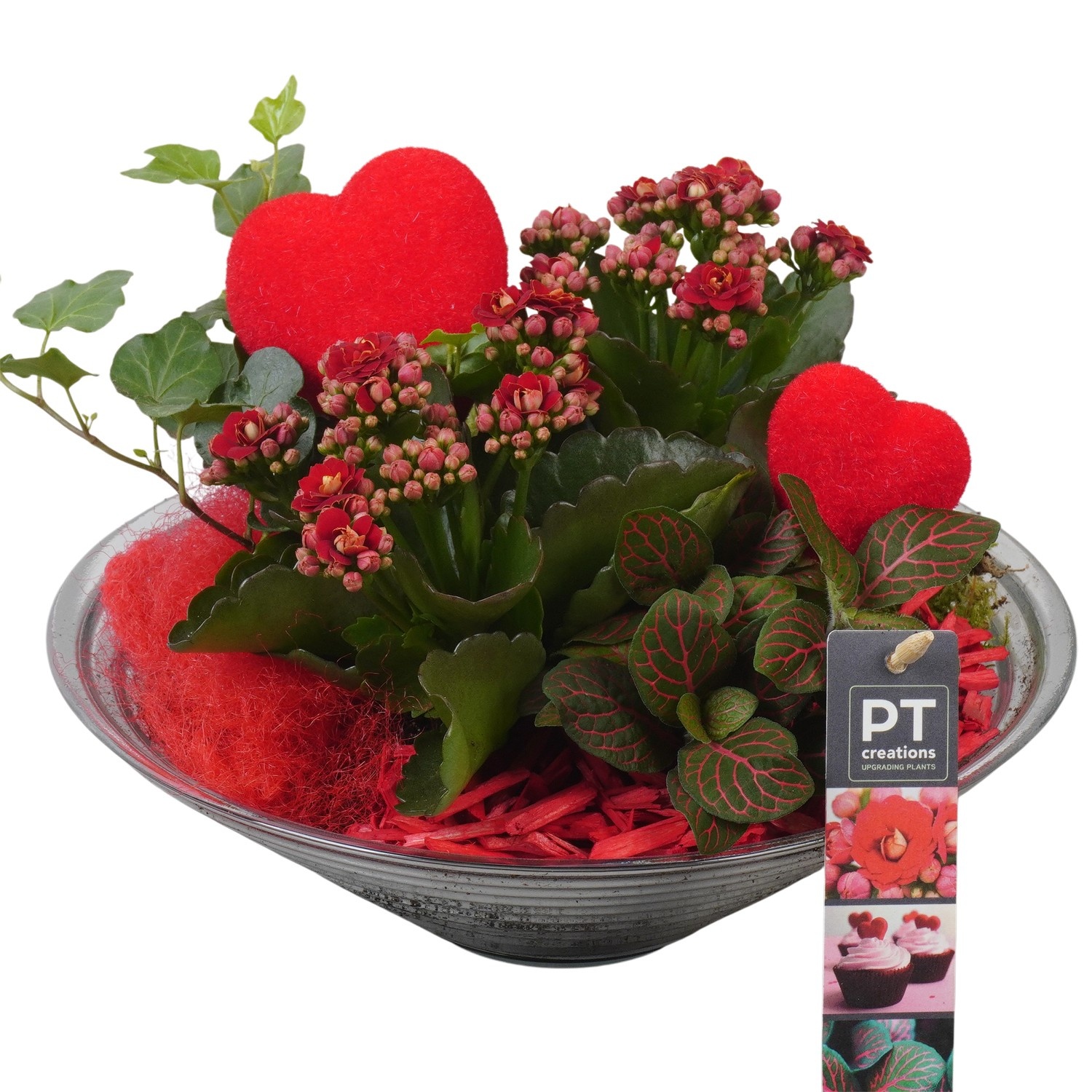 PTVMG4971 Arrangement Valentines-Mothersday in glas schaal, D 26