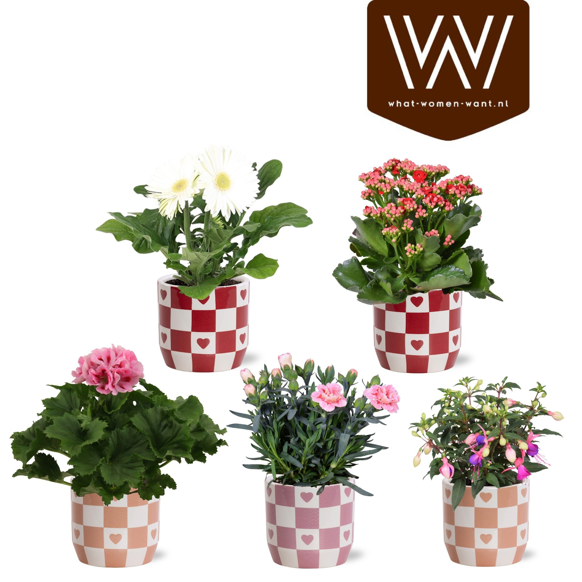 Bloeimix in Collectie 'Sympathetic Moods' Rosie keramiek, D 14