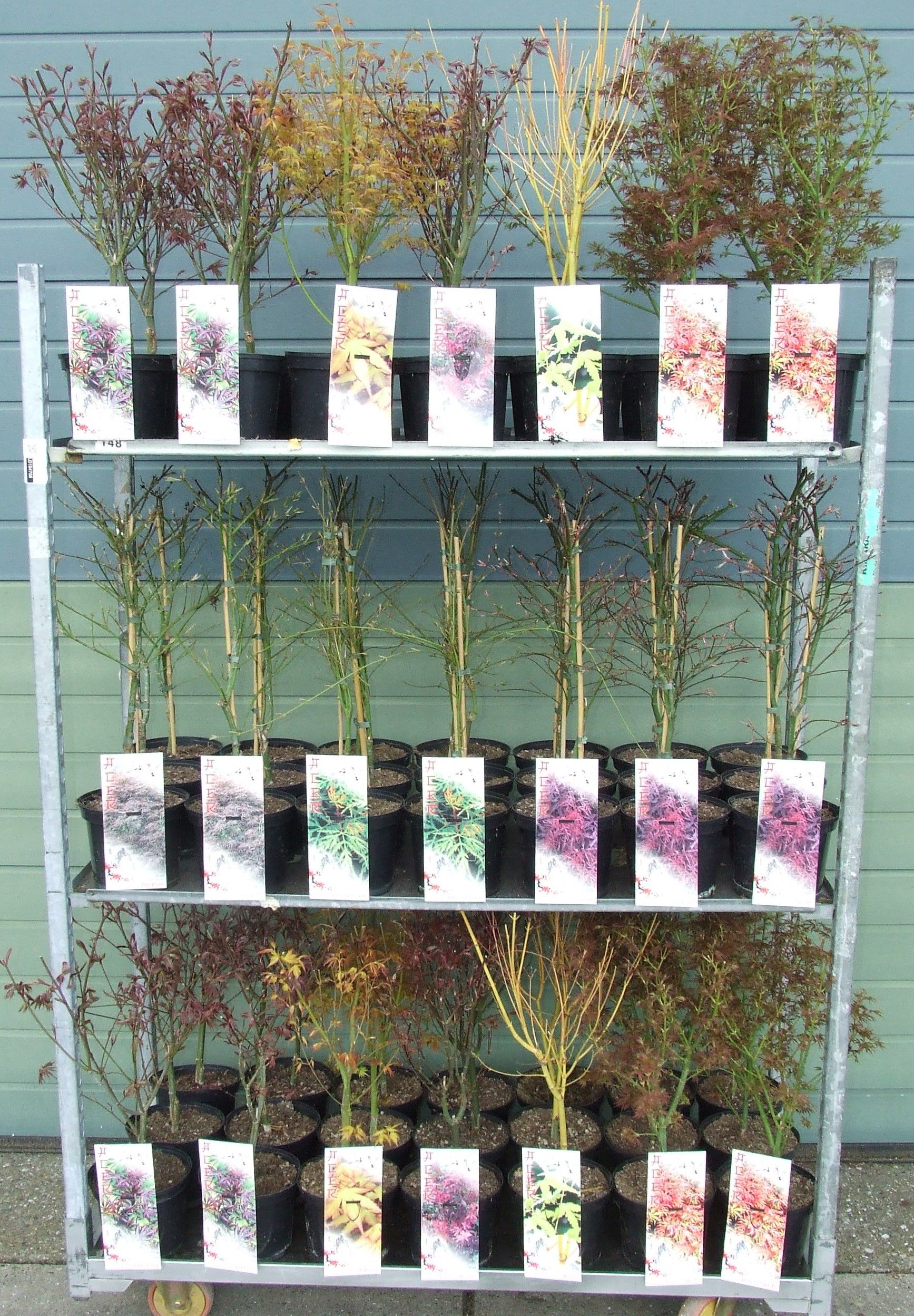 Acer mix-4 P19 Full CC, D 19