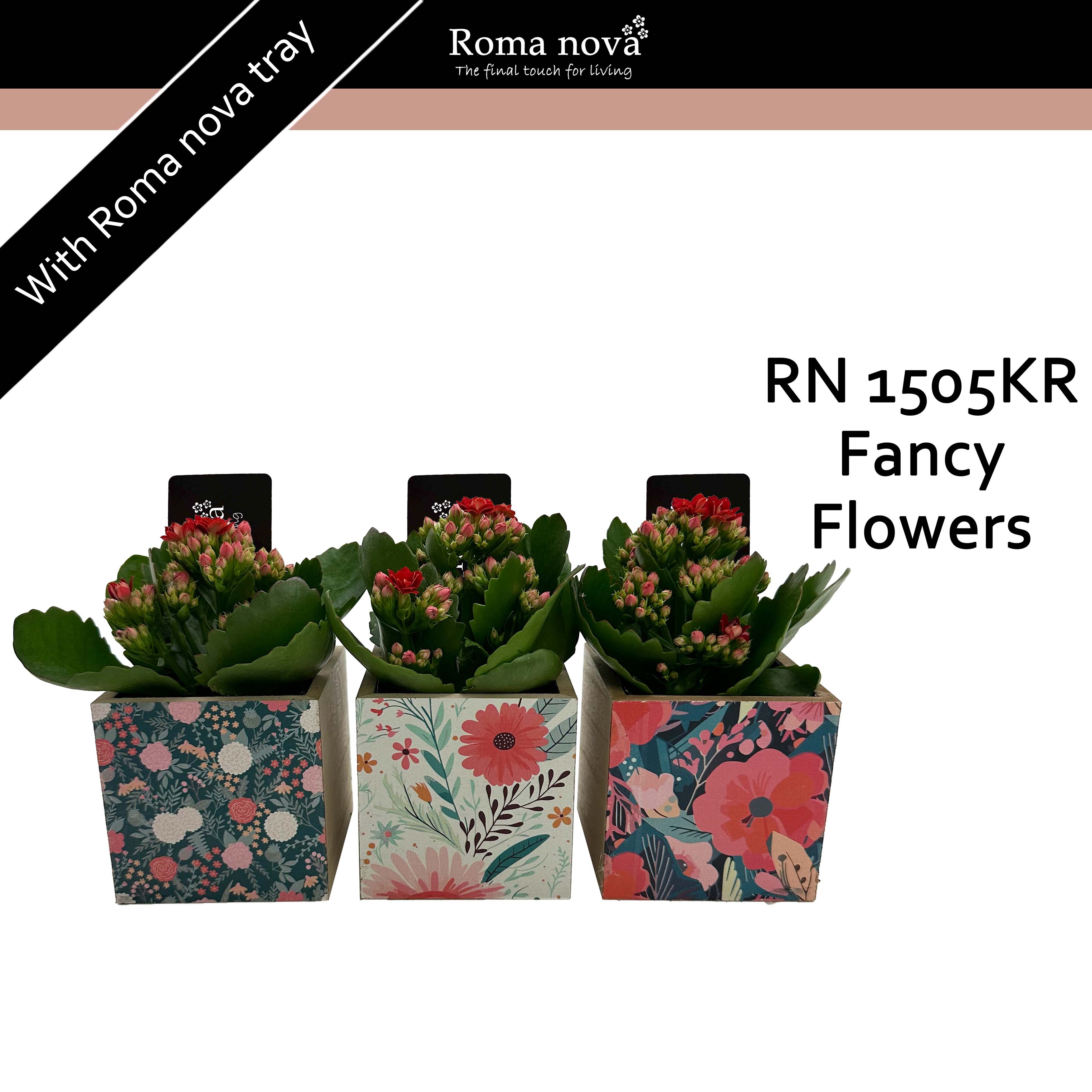 1505KR - Fancy Flowers (Kalanchoe red), D 9