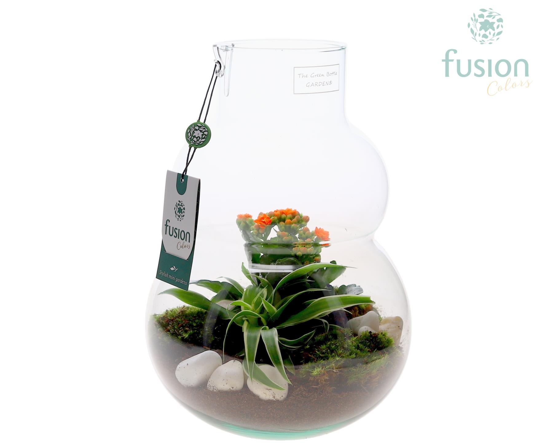 Green Bottle Olaf Medium met arrangement, D 21
