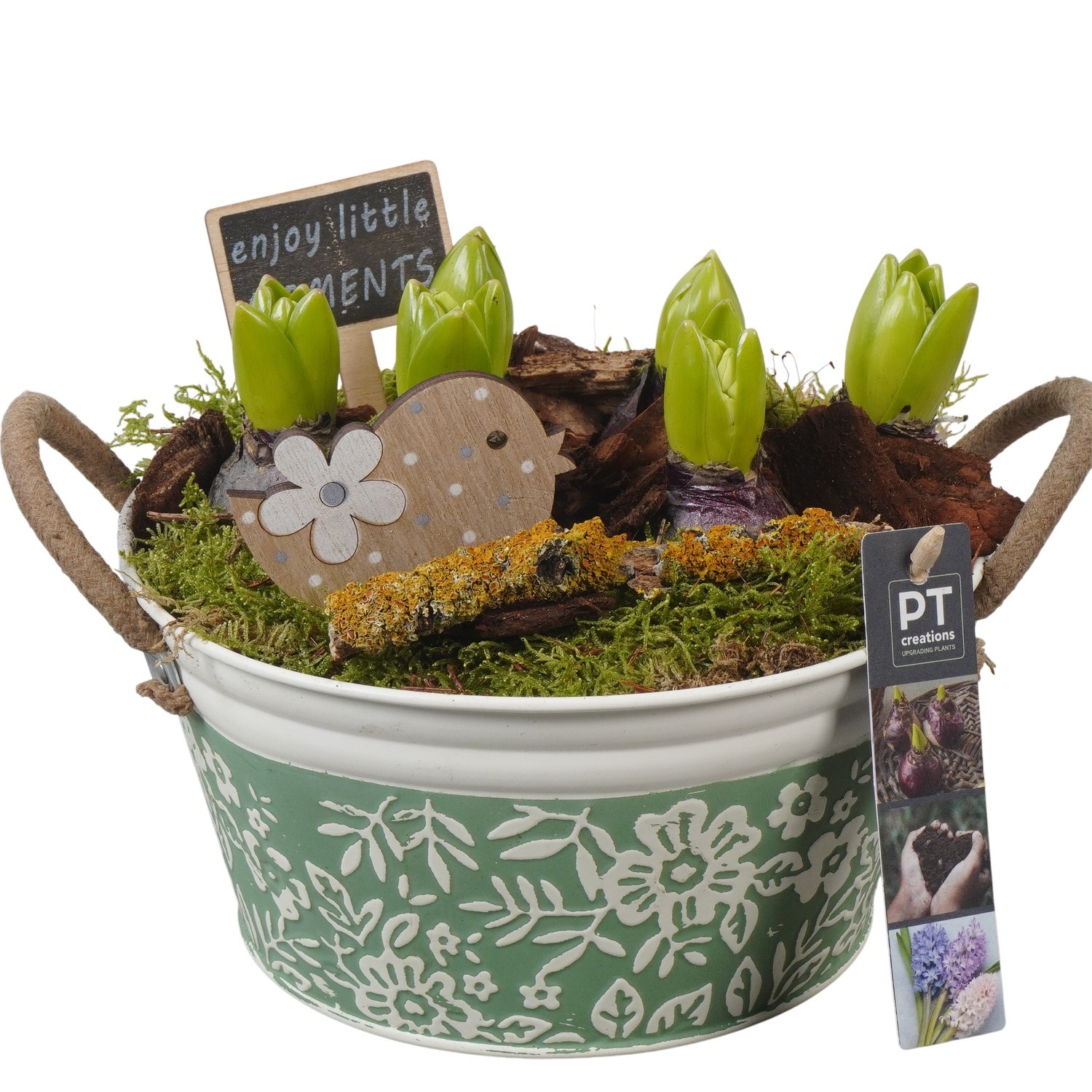 PTHC9136 Arrangement Hyacints in zink pot, D 20