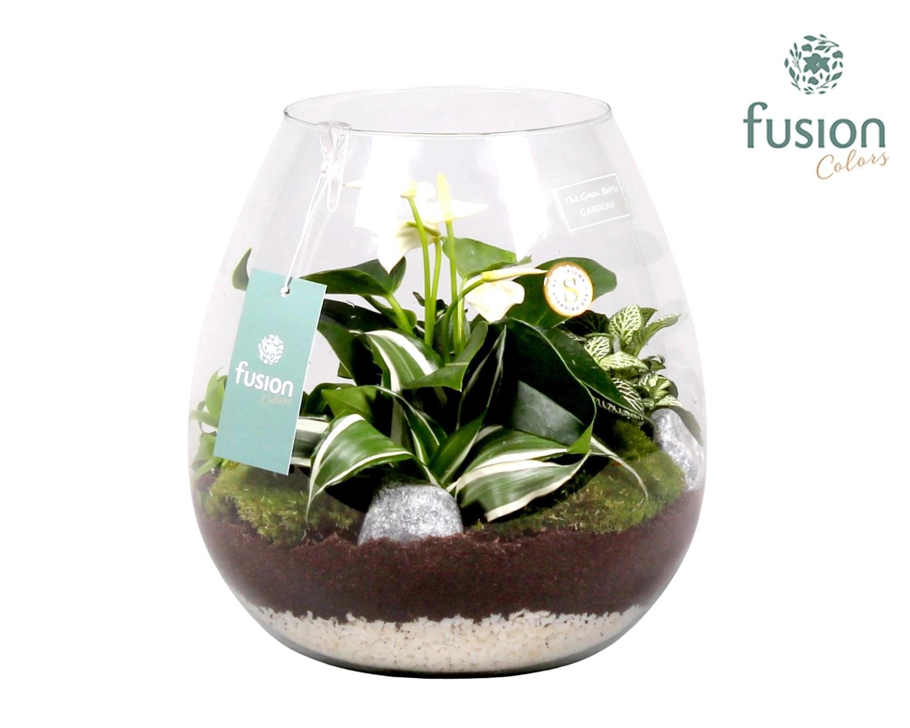 Green Bottle Abby Large met Arrrangement, D 24