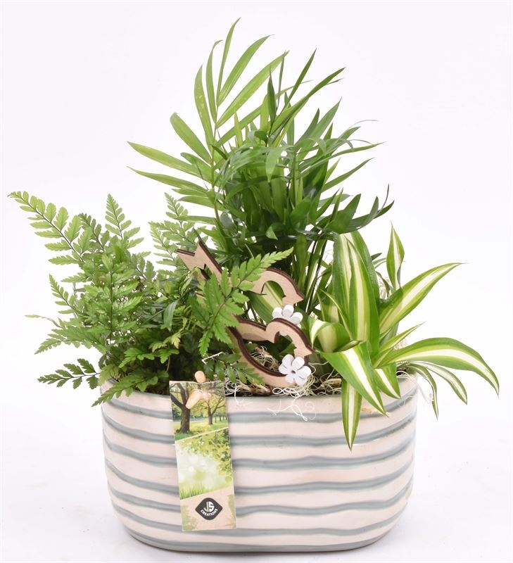 Keramiek ovaal golf 18x10.5cm, D 18