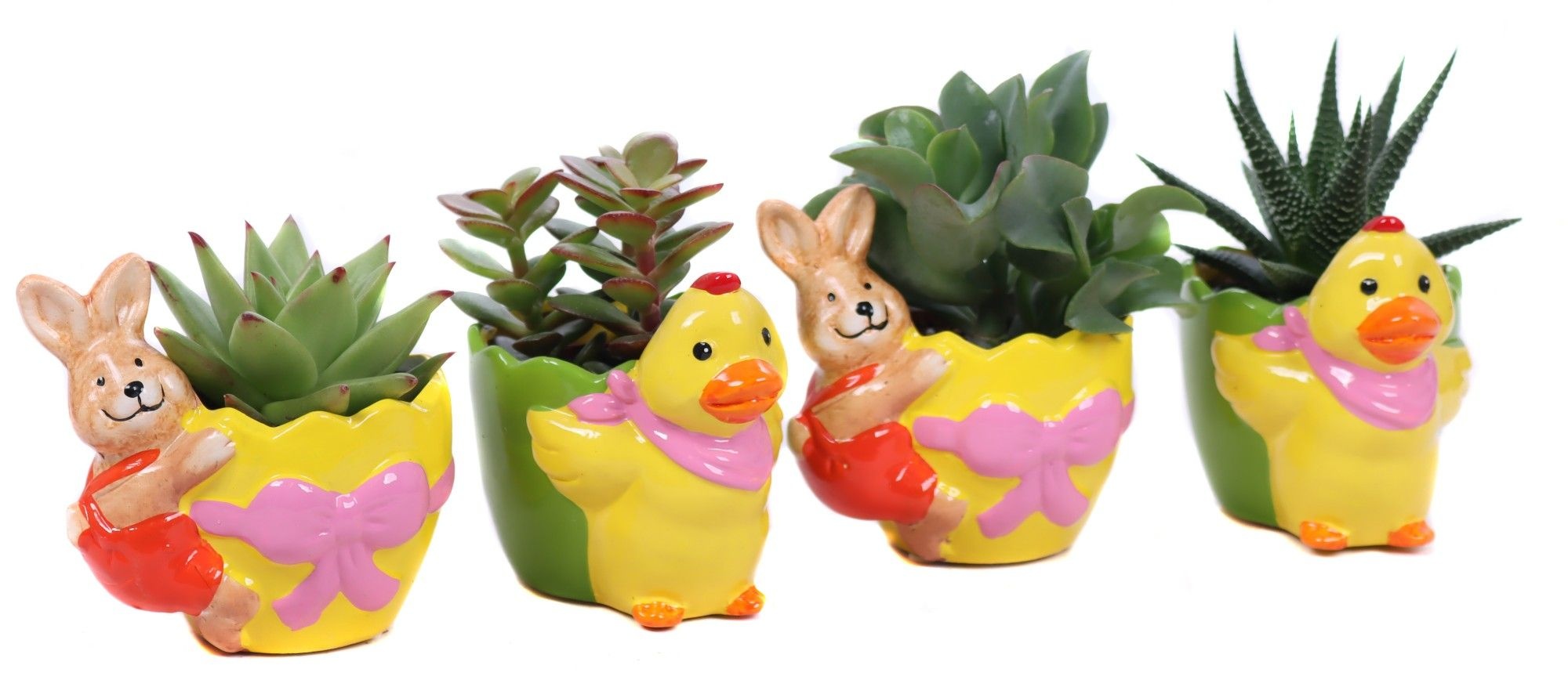 Succulenten mix in planter "Duck and bunny are really fun, D 10