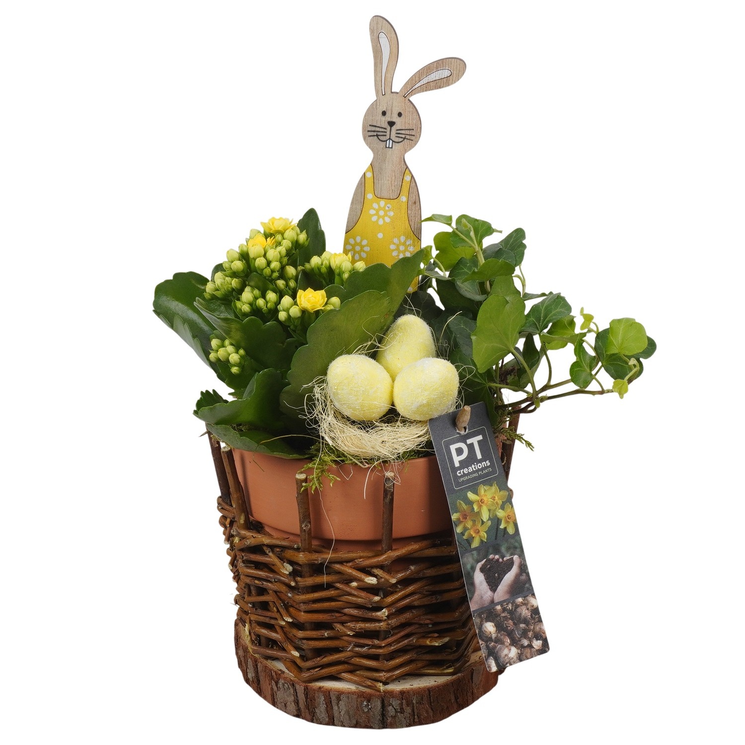 PTPB6626 Arrangement Easter in rieten pot, D 13