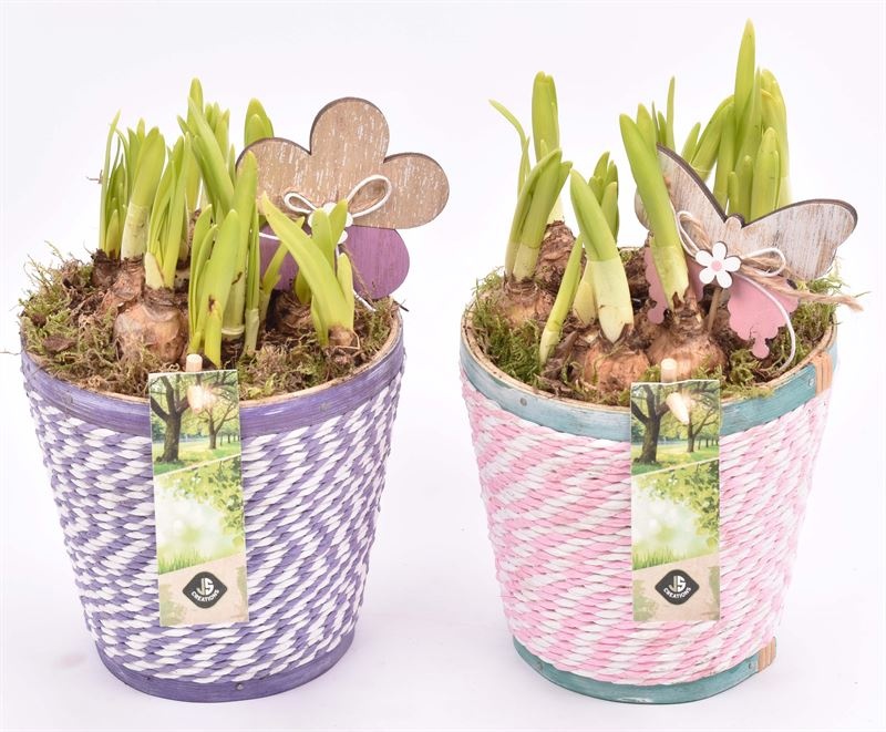 Hout pot met roze/wit paars/wit touw 13.5cm, D 13