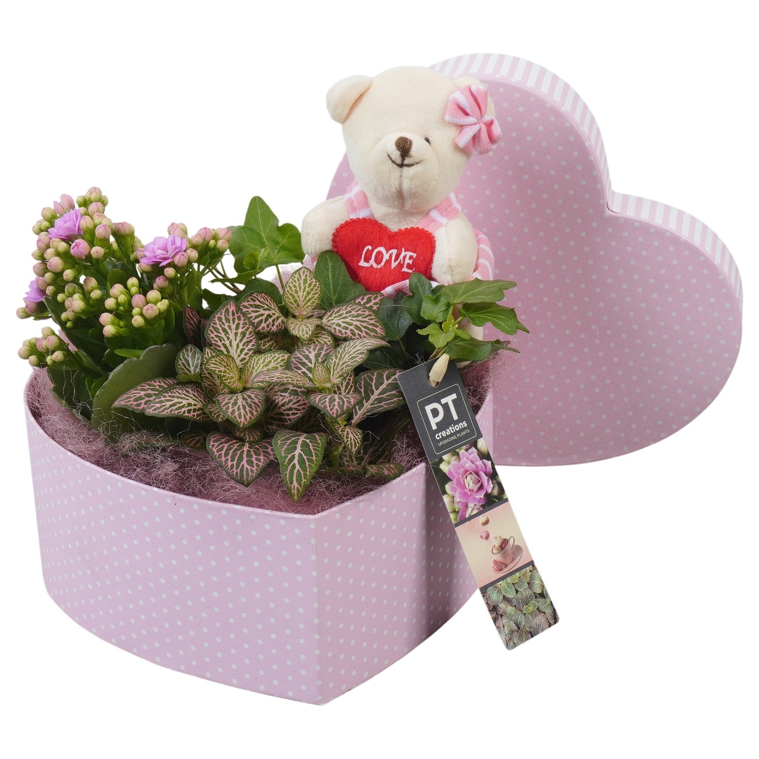 PTVMB2369 Arrangement Valentines-Mothersday in karton hart, D 19