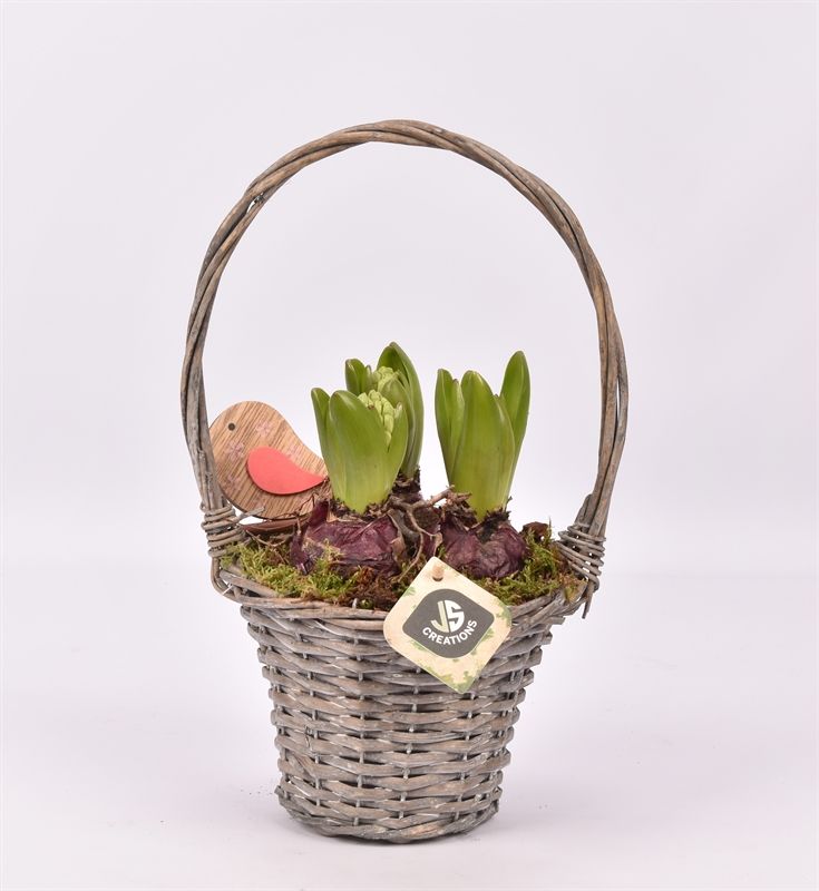 Wilg hengselmand gy 17cm, D 15